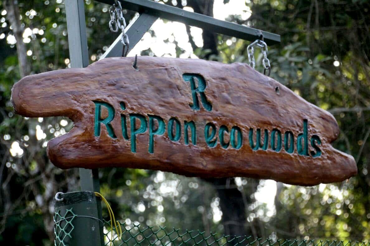 Rippon Eco Woods Villa Kalpetta Exterior photo